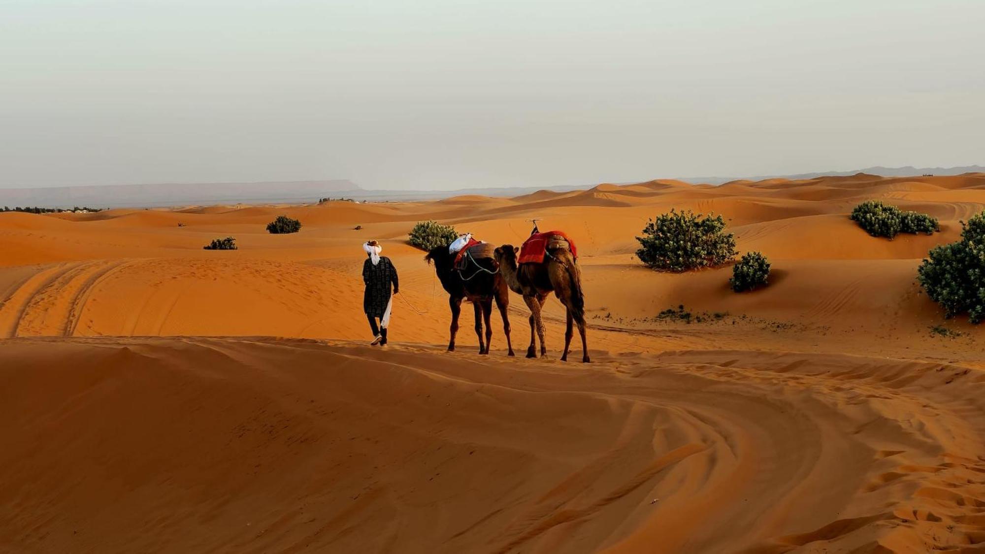 Camp Familia Erg Chebbi Hotel Merzuga Kültér fotó